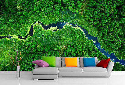 Fototapeta Rainforest , dažďový prales pohľad z výšky